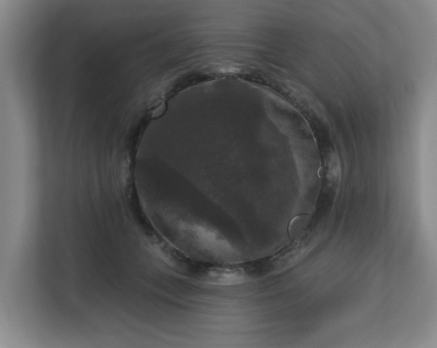 X0000111160559200907071131