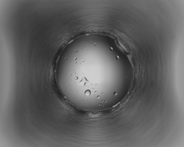 X0000111160560200907071131
