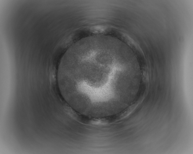 X0000111160561200907071131
