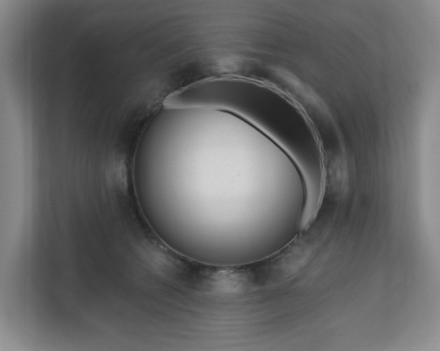 X0000111160562200907071131