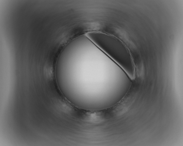 X0000111160564200907071131