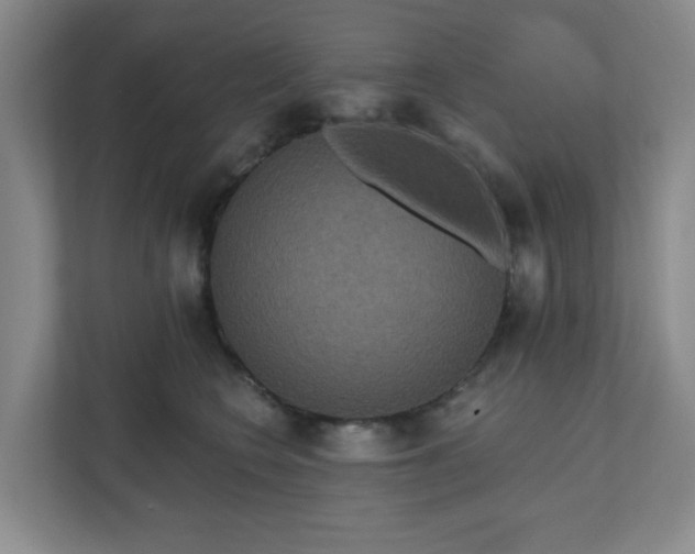 X0000111160566200907071131