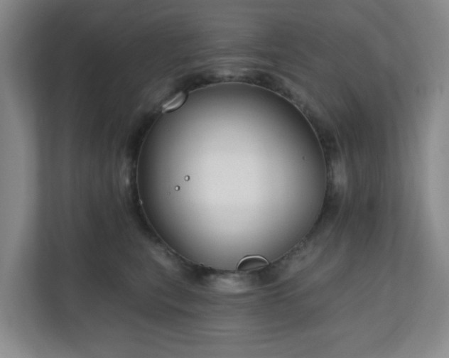 X0000111160567200907071131