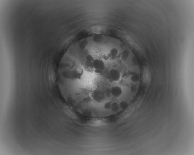 X0000111160569200907071131