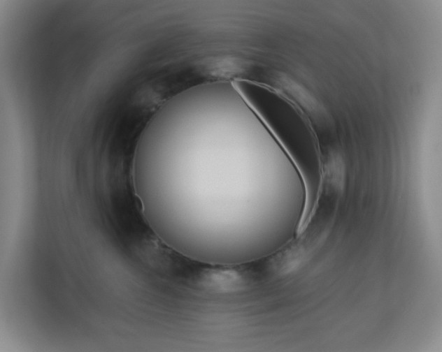 X0000111160572200907071131