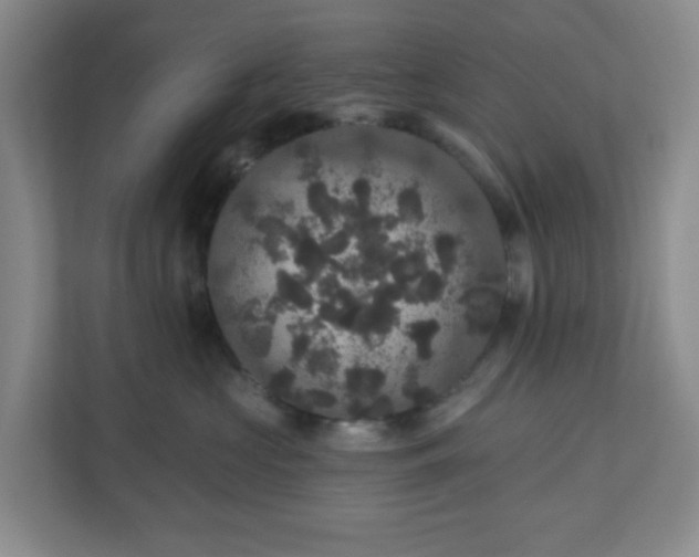 X0000111160573200907071131