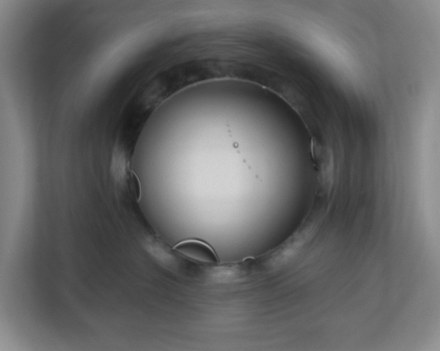 X0000111160574200907071131