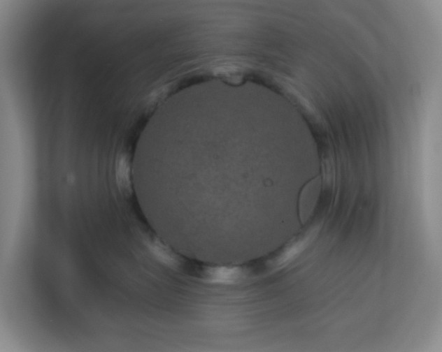 X0000111160575200907071131