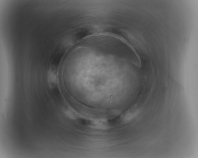 X0000111160576200907071131