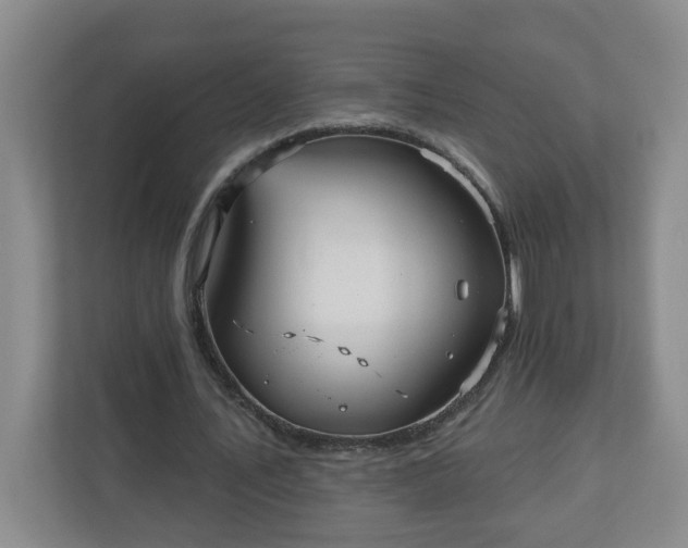 X0000111160579200907071131