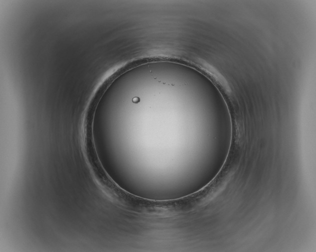 X0000111160580200907071131