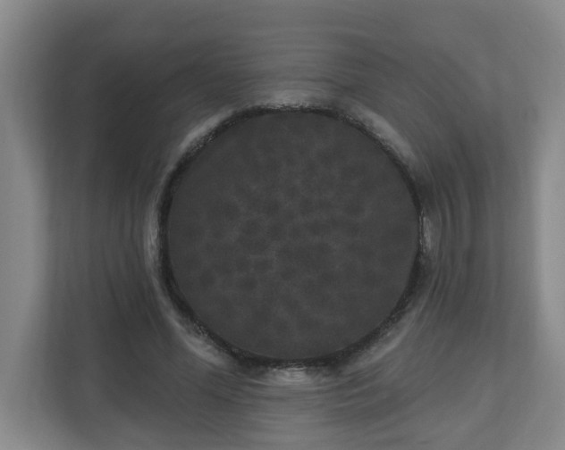 X0000111160588200907071130