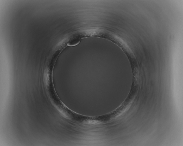 X0000111160590200907071130