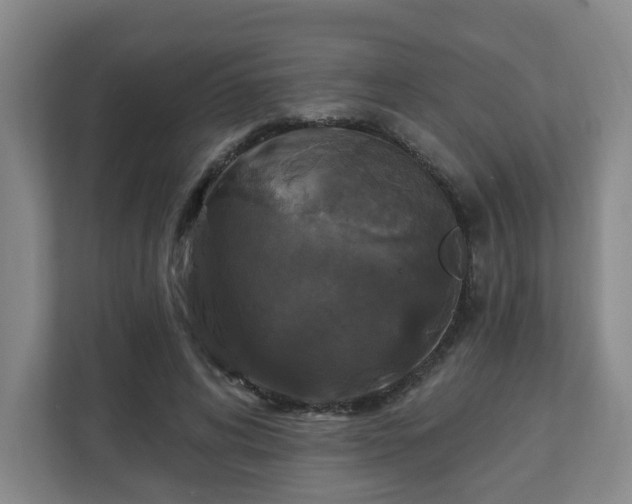 X0000111160592200907071130