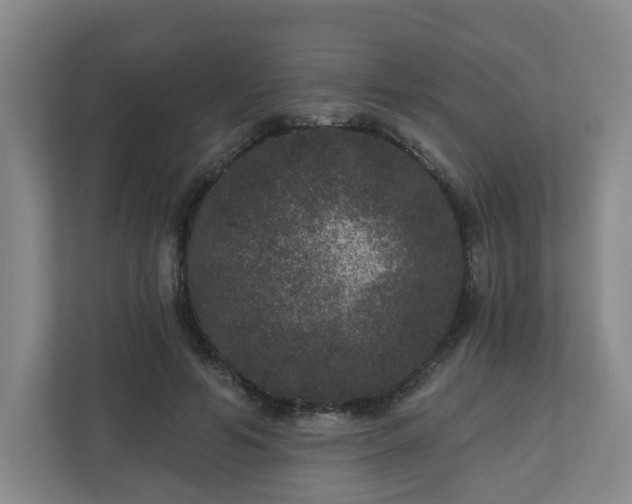 X0000111160594200907071130