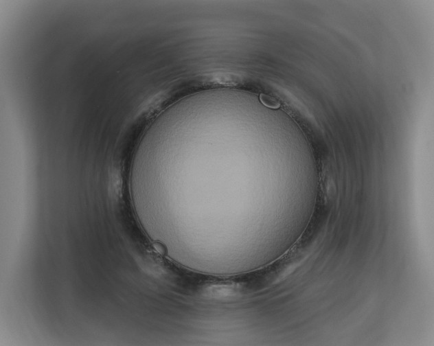 X0000111160595200907071130