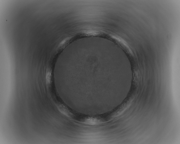 X0000111160596200907071130