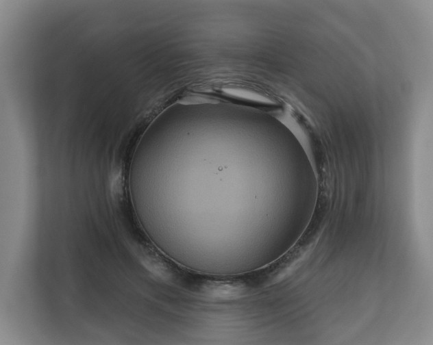 X0000111160597200907071130