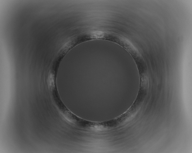 X0000111160598200907071130