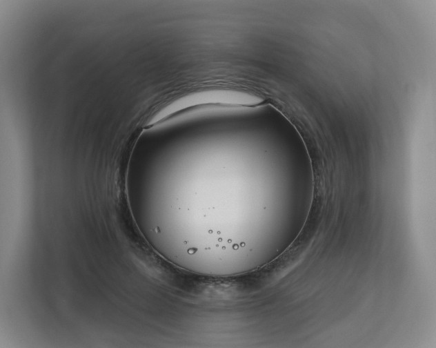 X0000111160599200907071130