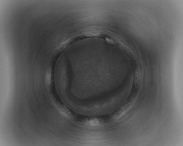 X0000111160600200907071130