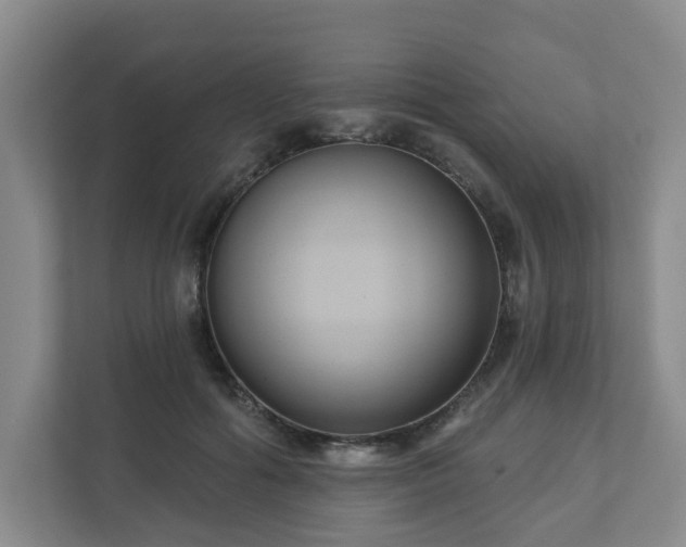 X0000111160602200907071130