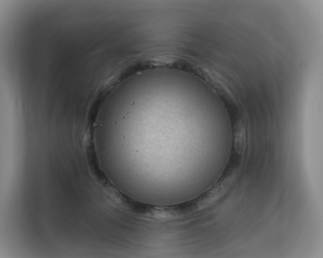 X0000111160608200907071130