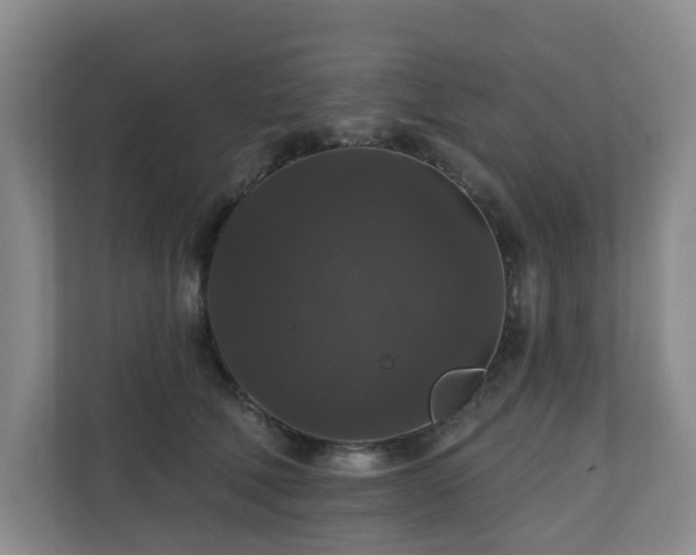 X0000111160610200907071130