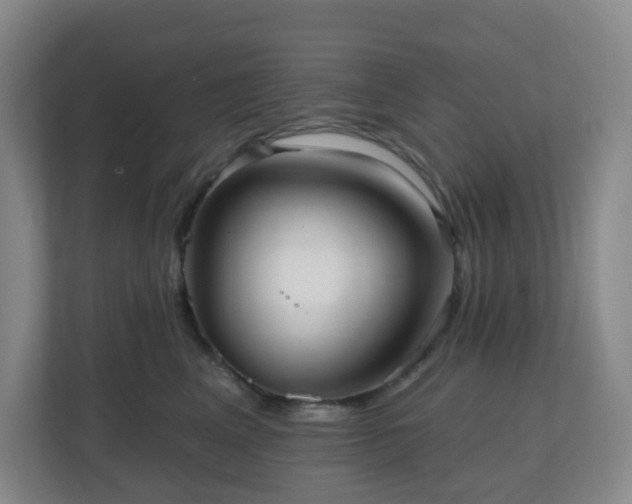 X0000111160617200907071130