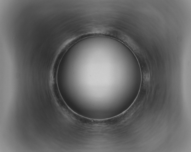 X0000111160628200907071129
