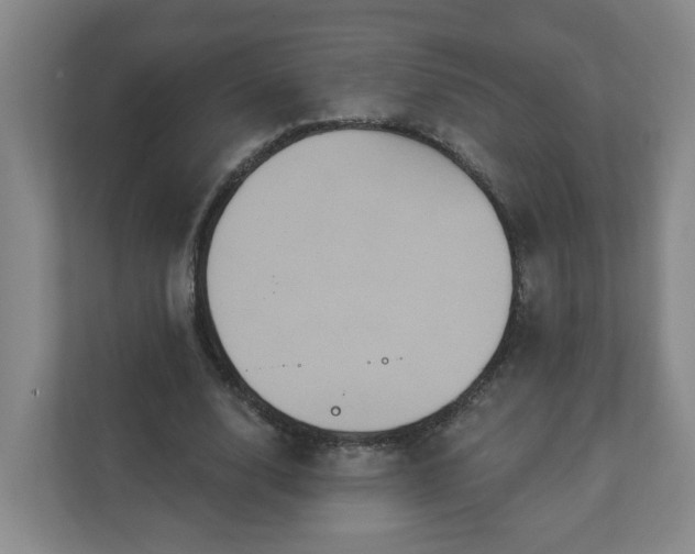 X0000111160632200907071129