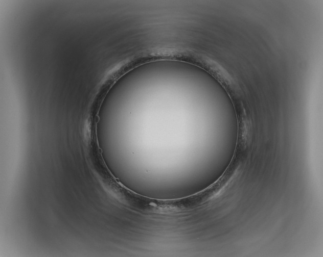 X0000111160636200907071129