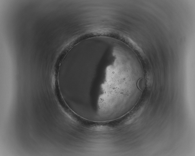 X0000111160637200907071129
