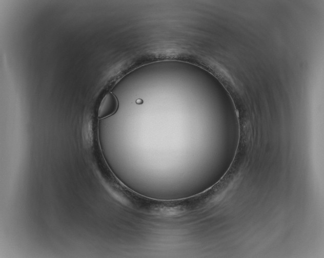 X0000111160638200907071130