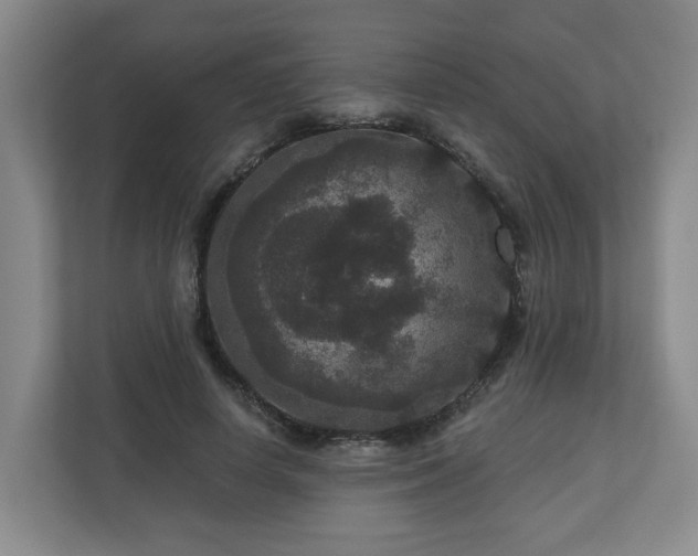X0000111160642200907071130