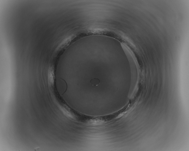 X0000111160644200907071130