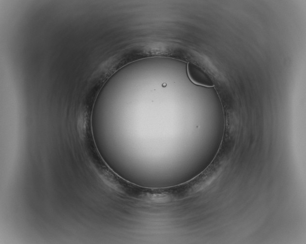 X0000111160645200907071130