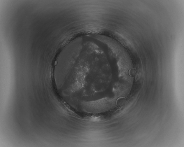 X0000111160647200907071130