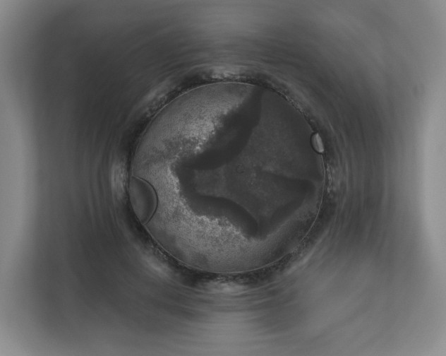 X0000111160648200907071130