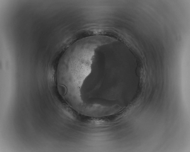X0000111160650200907071130