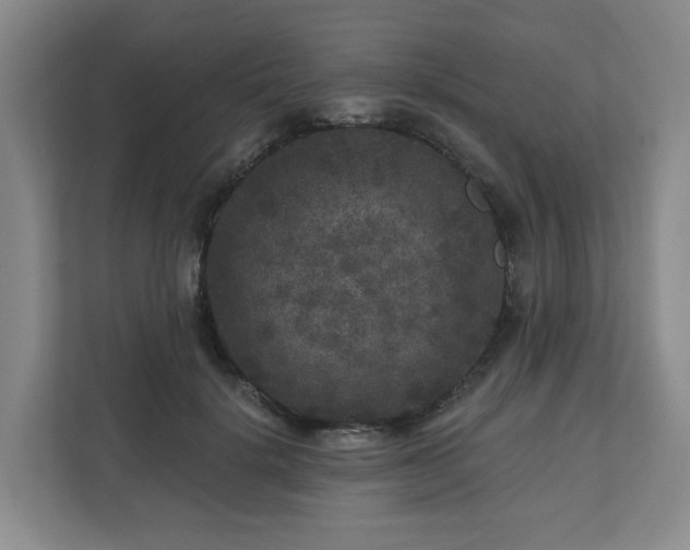 X0000111160652200907071130