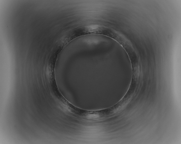 X0000111160653200907071130