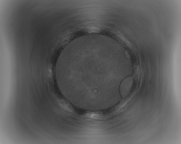 X0000111160655200907071130