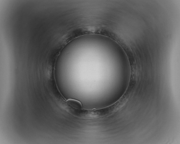 X0000111160656200907071130
