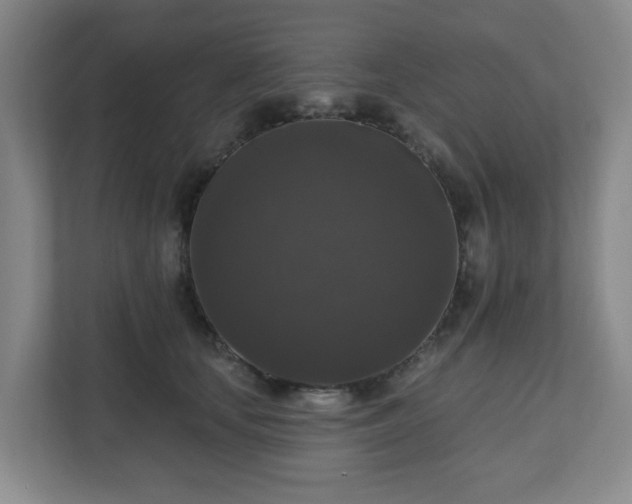 X0000111160659200907071130