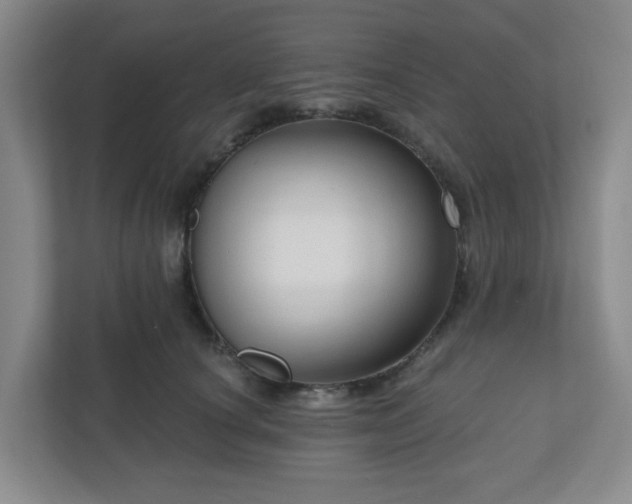 X0000111160660200907071130