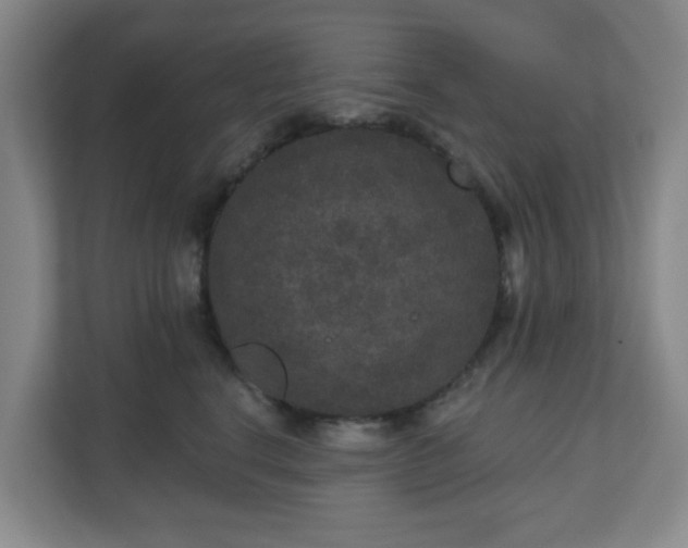 X0000111160664200907071130