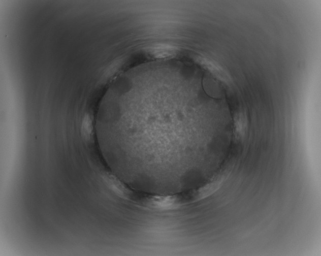 X0000111160667200907071130