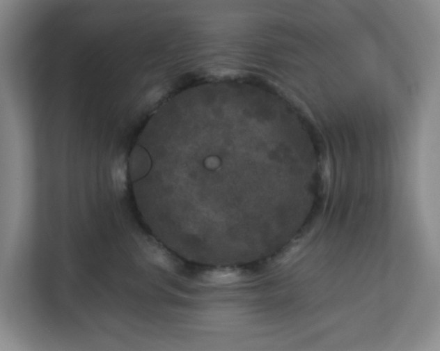 X0000111160668200907071130