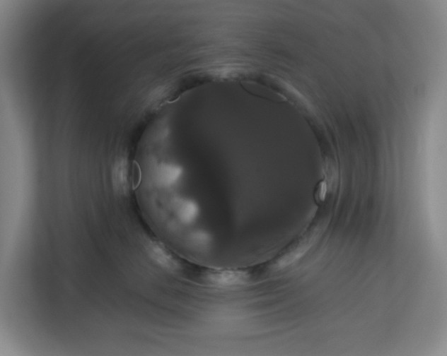 X0000111160670200907071130
